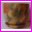 Doniczka Ceramiczna Tapeta Classic 1 o rednicy 13,5cm. Wzr 10. Cena za 6szt