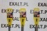 zestaw 3 wiert�a dedra 14, 20, 25 mm