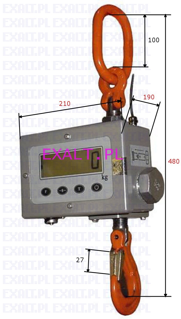 Waga hakowa EWD 10H, zakres 1000 kg, dziaka 0,5 kg + pilot radiowy (odczyt, sterowanie, 1000 pamici, RS232+kabel), z legalizacj w cenie wagi