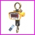 Waga d�wigowa OCS-06-SP o ud�wigu 600kg, dok�adno�� 0.5 kg, z pilotem, nielegalizowana