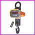 Waga d�wigowa ZCS-10 o ud�wigu 10 ton, dok�adno�� 5 kg, z pilotem, nielegalizowana
