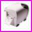 Drukarka etykiet Zebra HT146 (termiczna/termotransferowa) rozdzielczo 203dpi, interfejs RS232, Centronics, USB