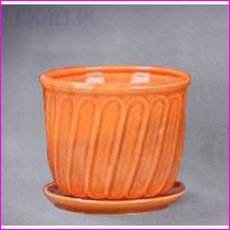  tanie sklepy,  pot,  ceramic pot,  ceramicznych,  sklep z donicami,  sklep z doniczkami,  donice ceramiczne,  doniczki ceramiczne,  doniczki, donice