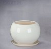 donice, doniczki, doniczki ceramiczne, donice ceramiczne, sklep z doniczkami, sklep z donicami, ceramicznych, ceramic pot, pot, tanie sklepy
