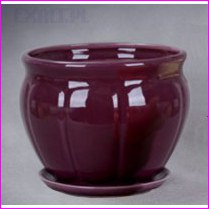  tanie sklepy,  pot,  ceramic pot,  ceramicznych,  sklep z donicami,  sklep z doniczkami,  donice ceramiczne,  doniczki ceramiczne,  doniczki, donice