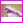 komplet po�cieli WZ�R 1 (satyna + bawe�na 100%), 1 x poszewka na ko�dr� rozmiar 200x220cm + 2 x poszewka na poduszk� rozmiar 70x80cm
