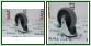 Ko�o skr�tne z hamulcem 125x35