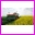 Siewnik rz�dowy