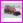 �adowacz czo�owy �-107