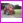 �adowacz czo�owy �-108