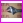 klucz serwisowy z linia�em