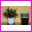 Doniczka Plastikowa Anna Pastel Zielony o �rednicy 22cm. Cena za 25szt