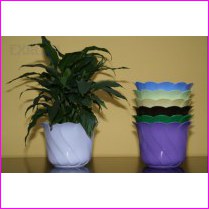 Tulipan Stoj�cy Ciemno Niebieski o �rednicy 19cm. Cena za 25szt
